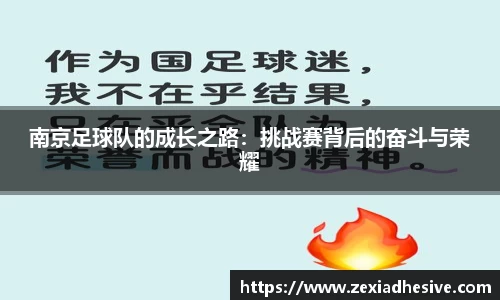 南京足球队的成长之路：挑战赛背后的奋斗与荣耀